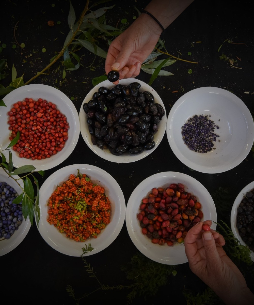 native berries of the ngahere